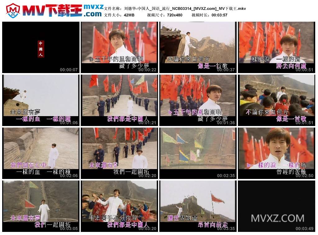 刘德华-中国人_国语_流行_NCB03314